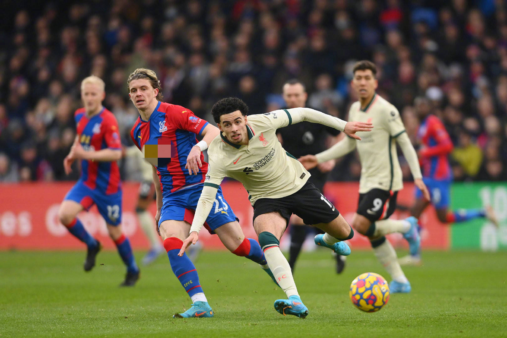 更奠定了骑 更奠定了骑