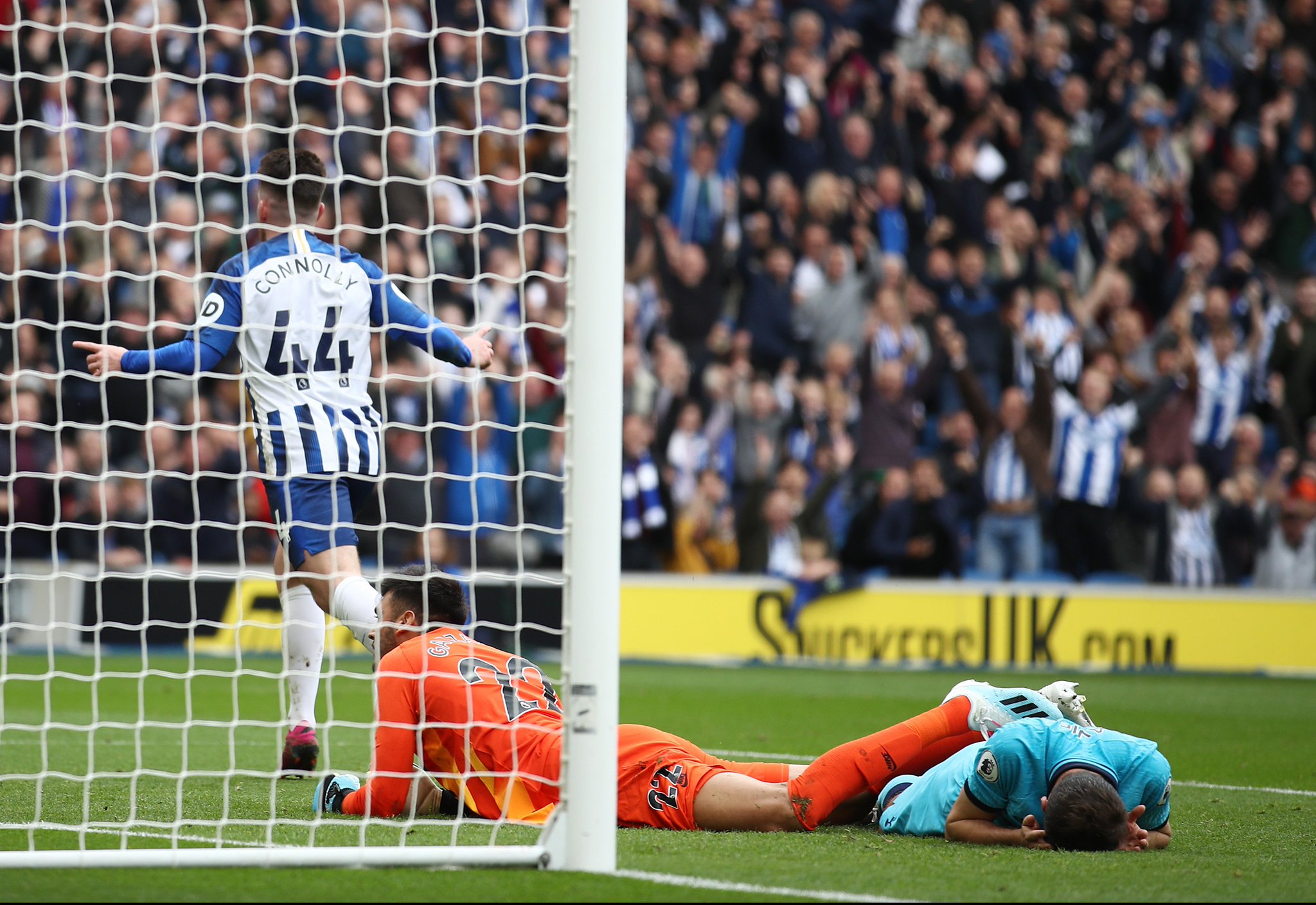 引进国内本 引进国内本